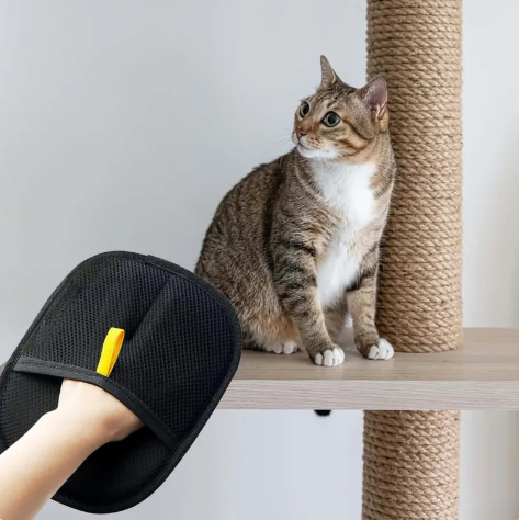 Dual-Action Pet Hair Lifting Gloves